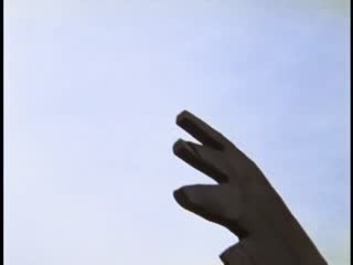 美版百兽战队