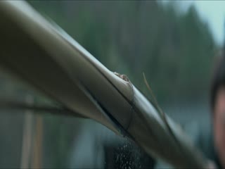 云之羽