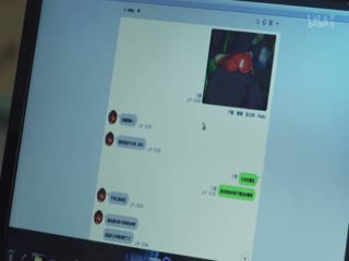 追凶500天