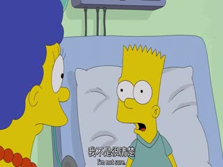 辛普森一家第三十季