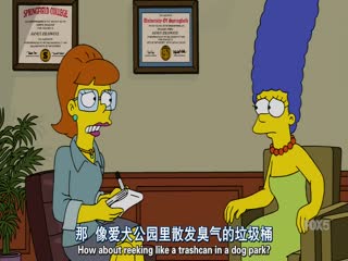 辛普森一家第二十七季