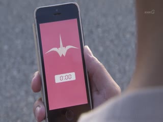记忆回放