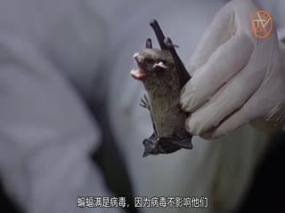 新冠病毒解码