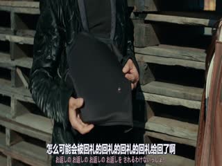 归来的玩命警探