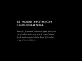 綠金龜模仿犯