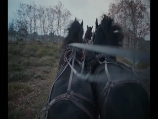 血色附身