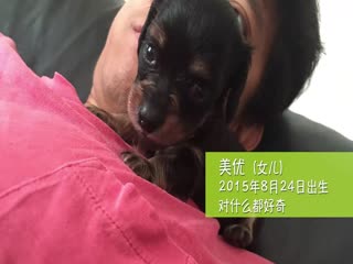 我住在这里的理由第一季