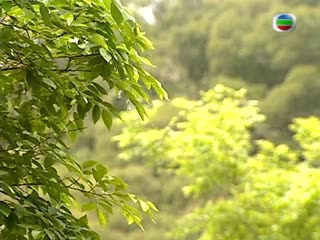 惊艳一枪国语