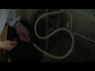 亲爱的家
