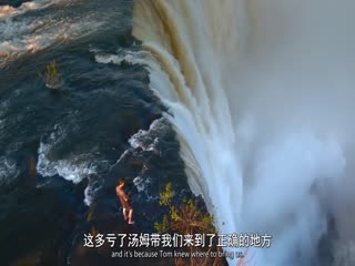 动物的秘密生活