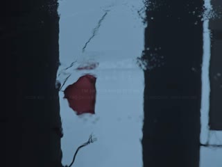 人海同游