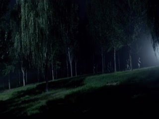 特种兵王