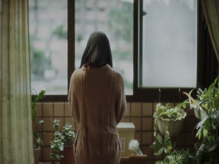 树冠羞避