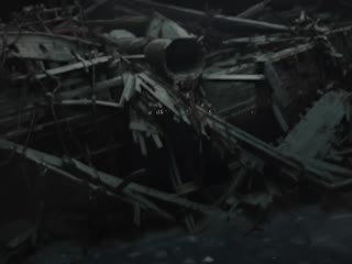 坚忍号