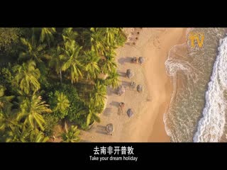 街头废物