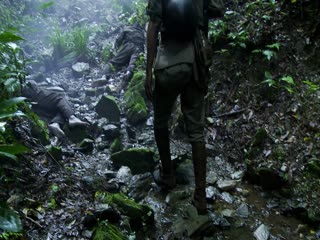 野火2014