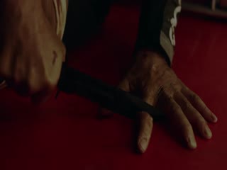 合子异种