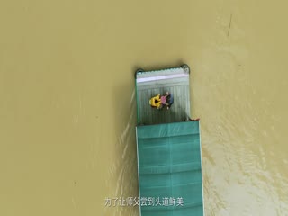 奇食记第二季