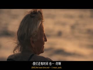 威尔与哈珀：老友公路游