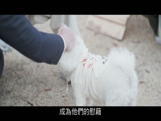 你是我的快乐