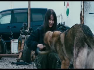 少年与犬