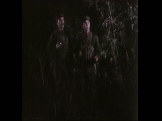 自豪吧，母亲