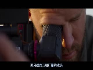 幼豹成长记