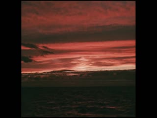 海鹰