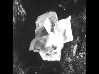 战火中的青春1959