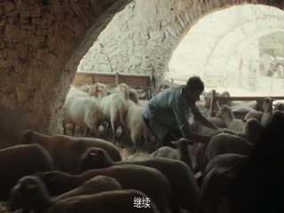 牧羊人2024