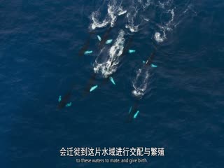 海洋探索者号