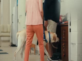 汪星人的奇思妙想