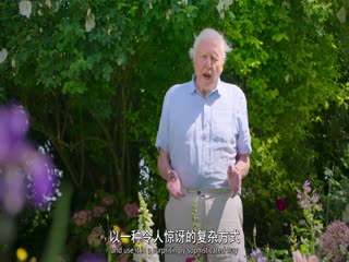 大卫·艾登堡：大自然的声音