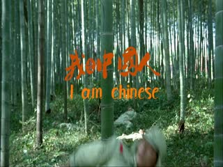 我是中国人2011