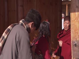 生死金天鹅