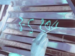 树房子