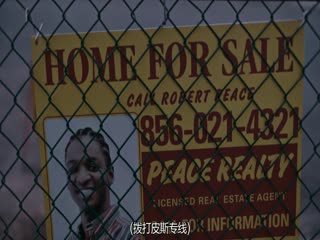 被盗的和平