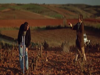 人间昆虫记1996