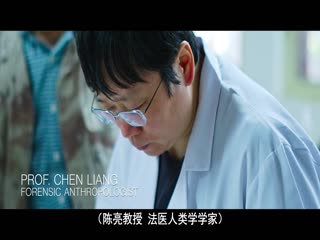 兵马俑揭秘