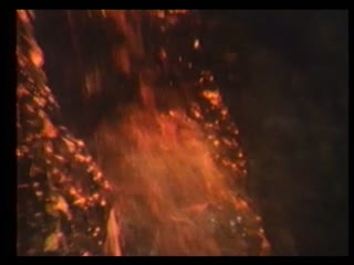 护花铃