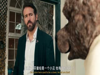 神秘友友
