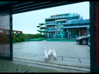 小子2024