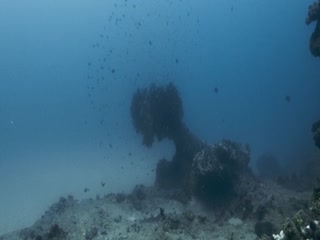 深海狂鲨3
