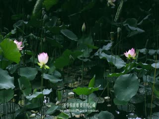 广府春秋第一季：山海之间