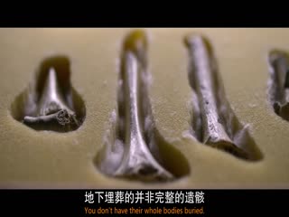 尼安德特人绝密存亡史