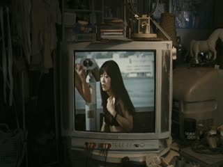 斑马人2：斑马城的反攻