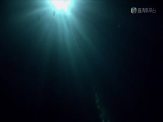 野生链