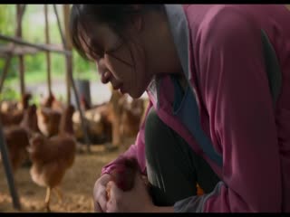 莎莉