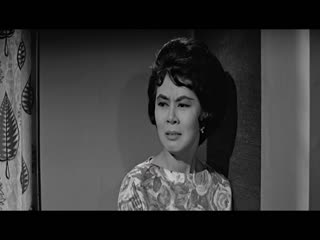 不了情1961
