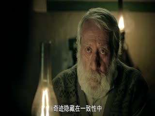 西辛6